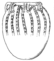 * Drawing of Thetford ware pot